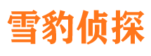 官渡侦探公司